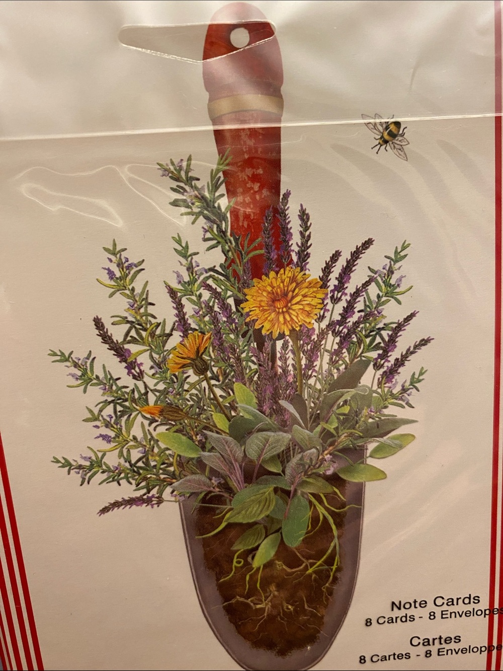 FREE Notecards - Picture 2 of 6